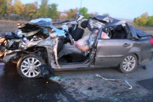 V regionu orenburg se do stáda koní havarovalo cizí auto, dva lidé zemřeli V regionu orenburg se do stáda koní havarovalo cizí auto, dva lidé zemřeli